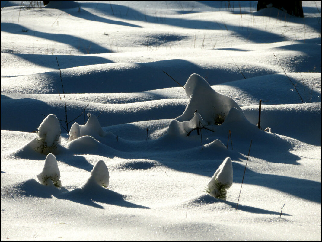Свет и тень. - Егор Бабанов