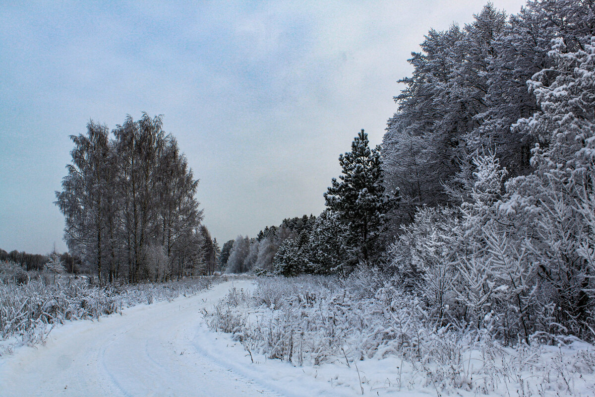 зима - Владимир Зеленцов зима - Владимир Зеленцов