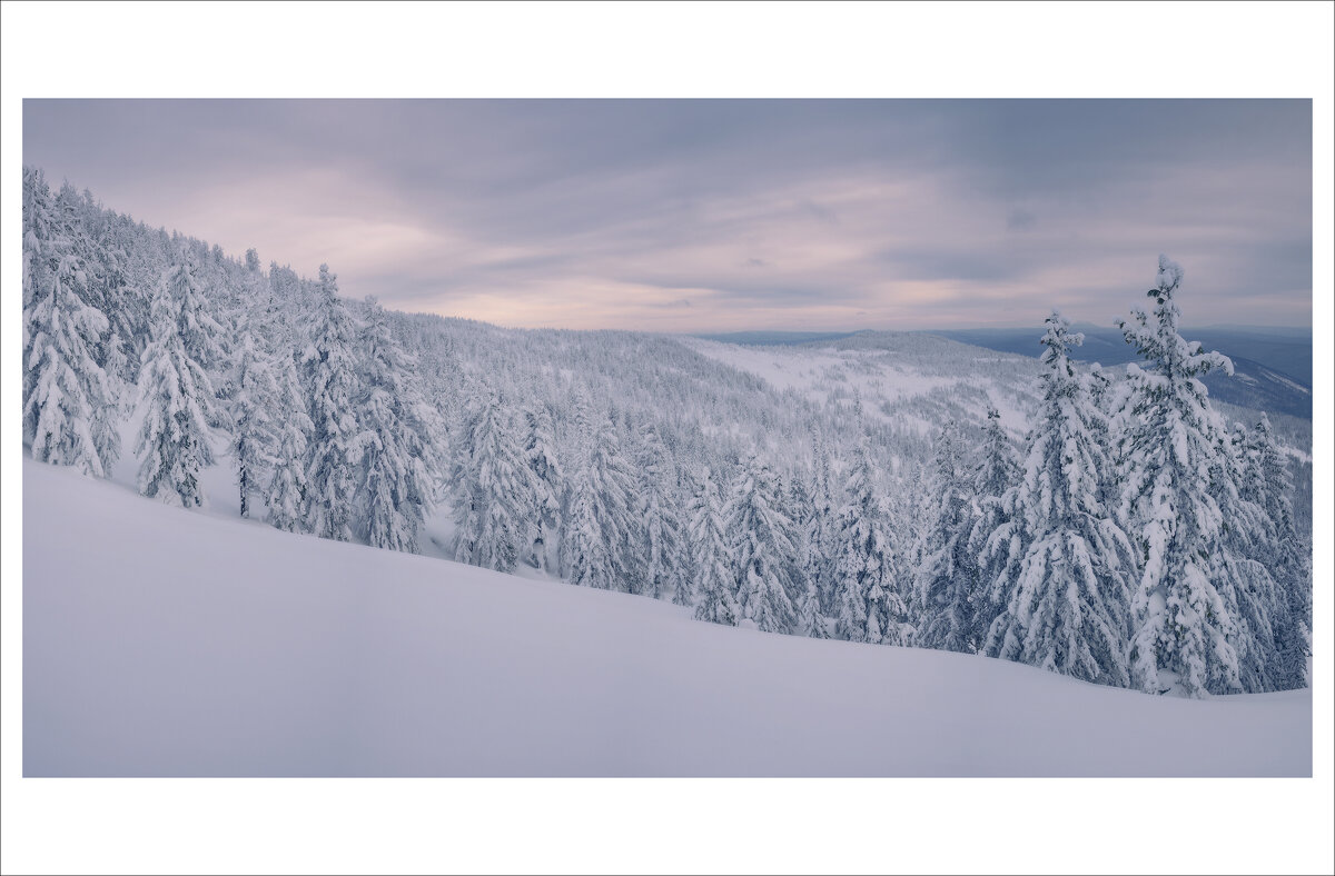 * - Александр Иванов