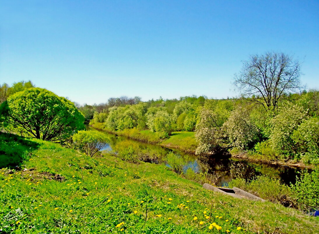 Это май, чудесный май! - Лия ☼