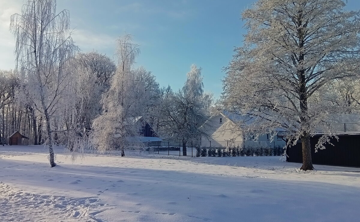 Прекрасный январь .. - Татьян@ Ивановна