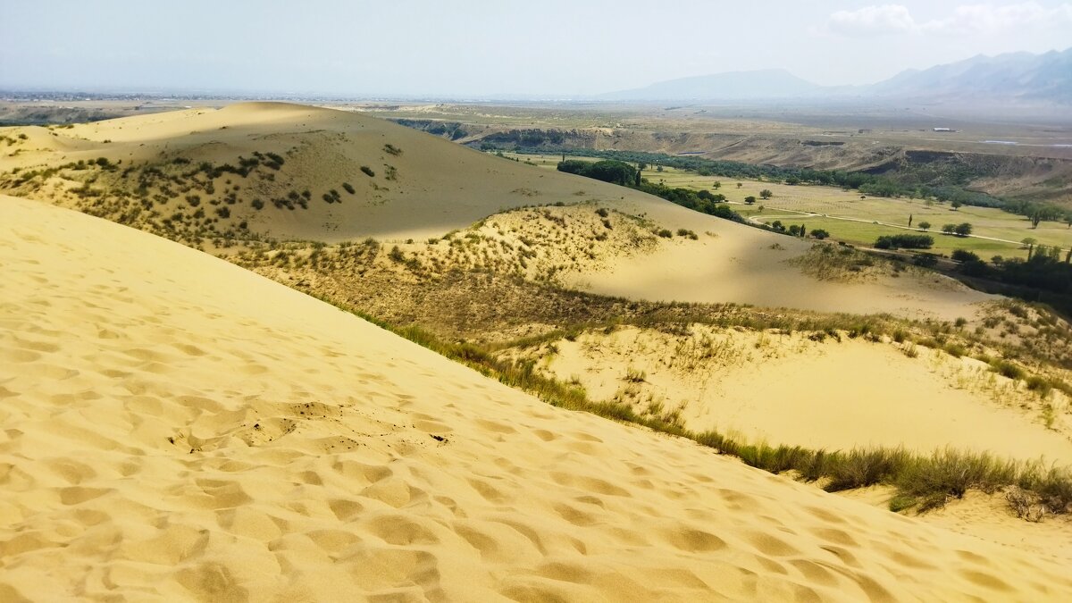 Дюна - Марина Виноградова