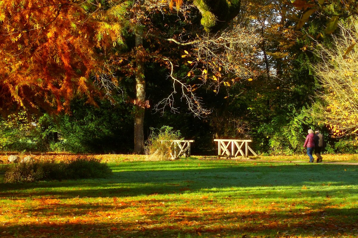 Осенние прогулки - Юрий. Шмаков