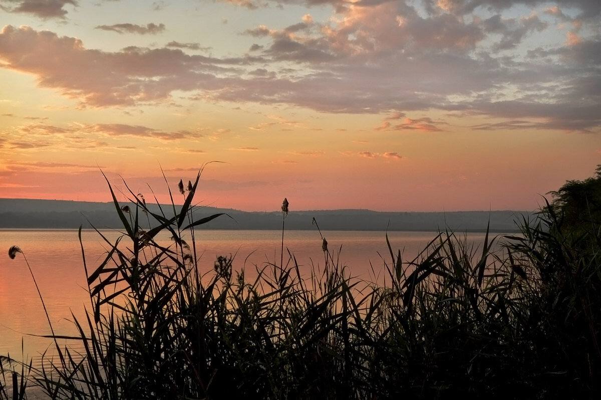Проснулся розовый рассвет... - Надежда Куркина 