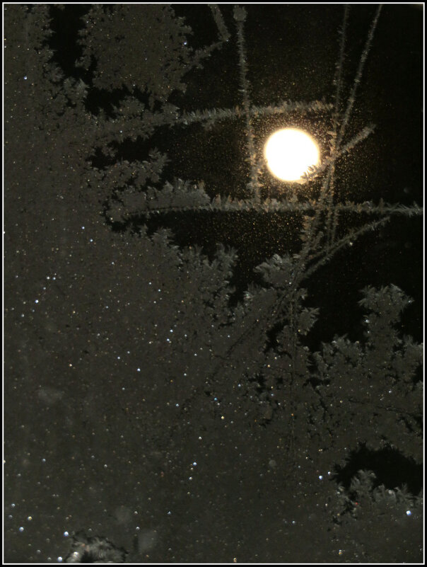 Морозное полнолуние. - Егор Бабанов