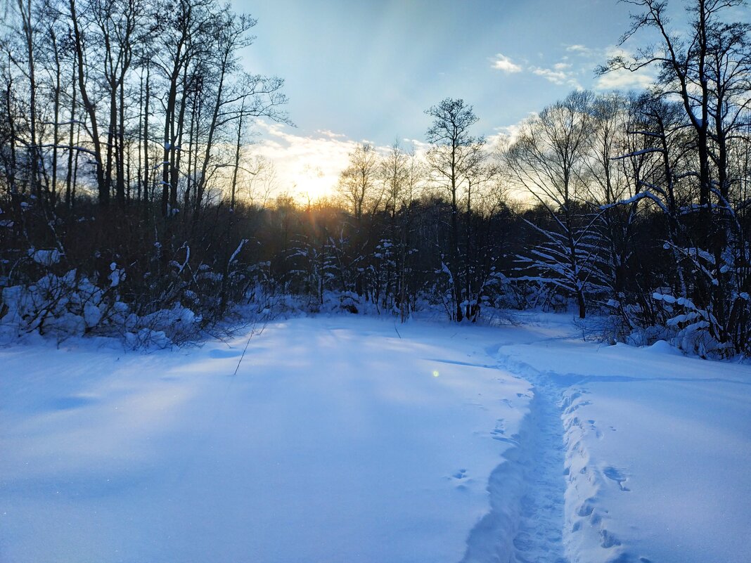 Зима продолжается - Андрей Лукьянов