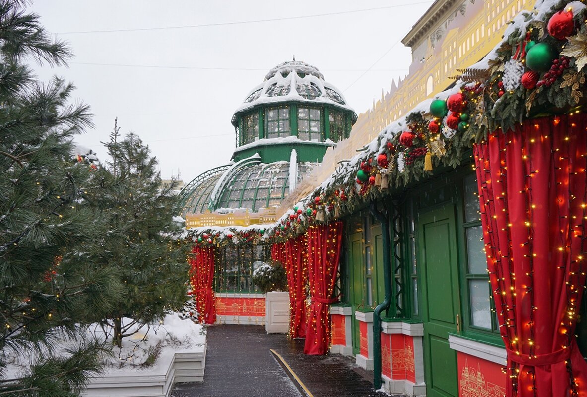 Зима в Москве - Ольга 