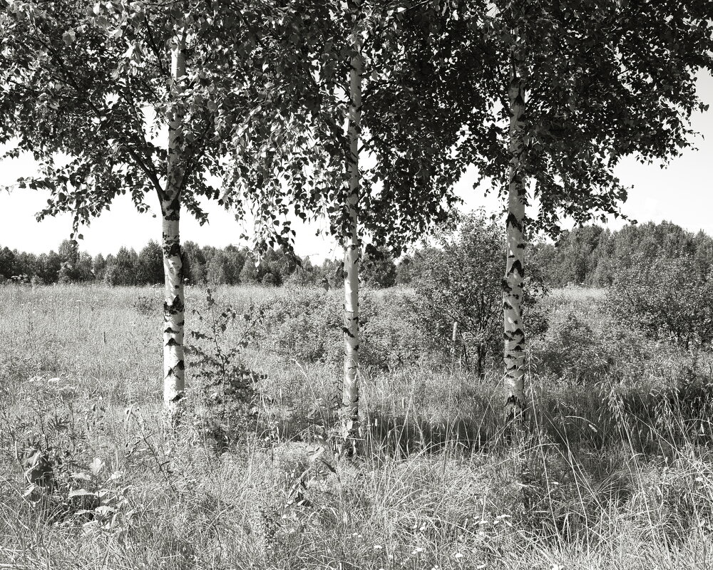 Фотография - Денис Безногов