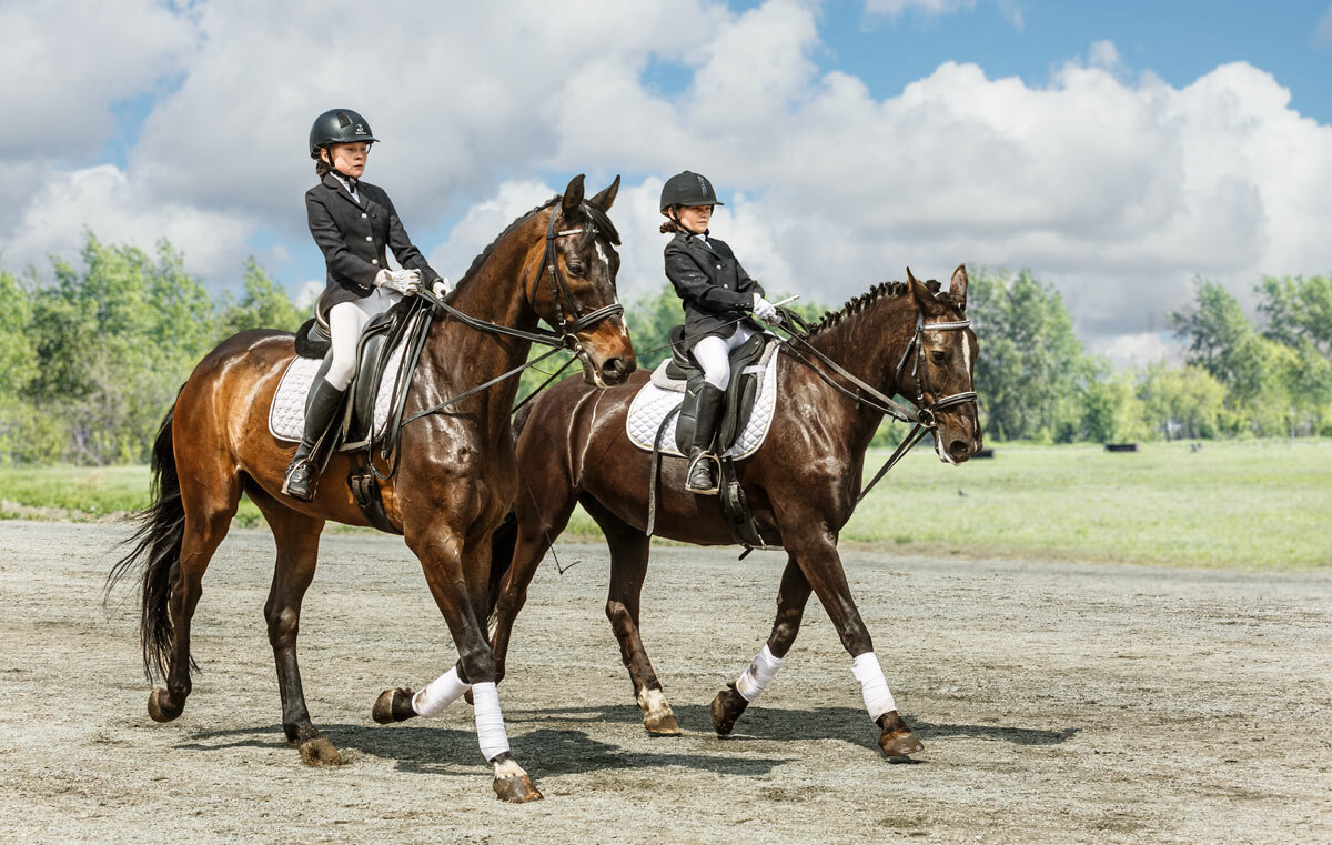 Всадницы - SanSan 