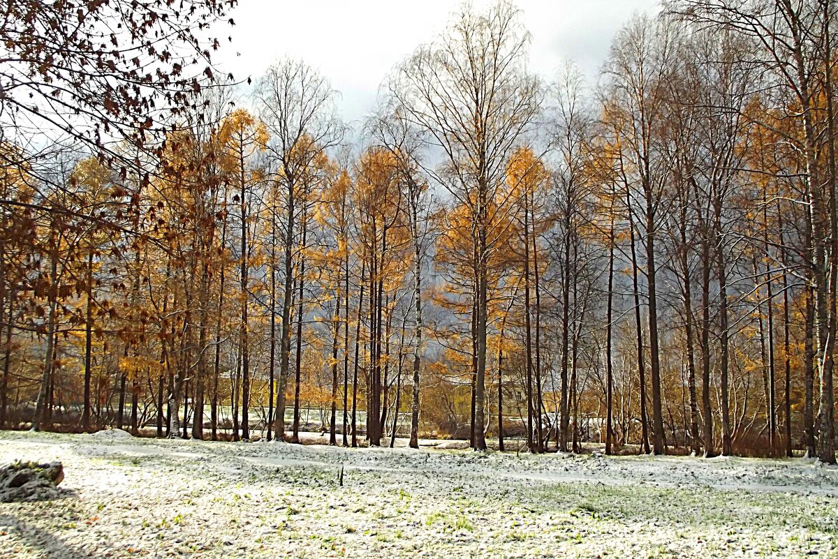 Осенний день - Сергей Кочнев