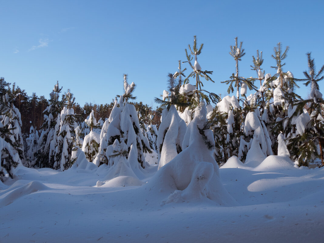 В белых шубках. - Николай В белых шубках. - Николай