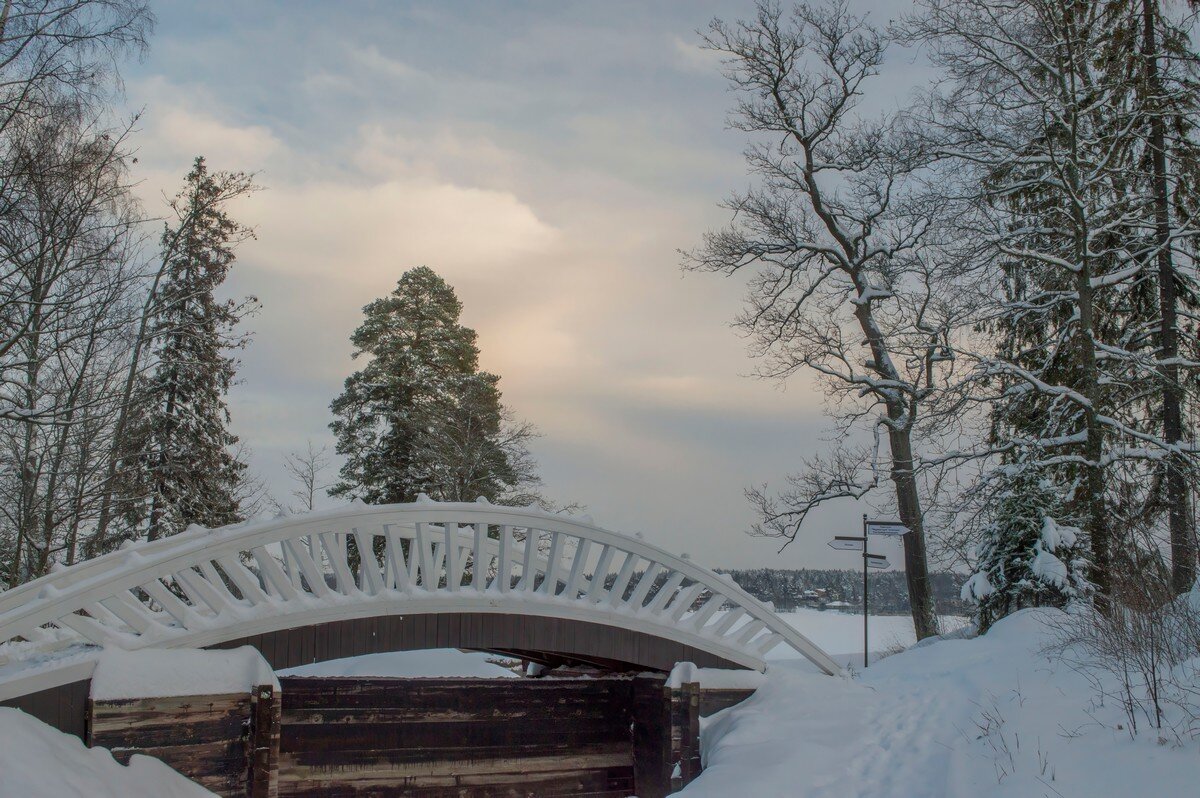 Зимний мостик....... - Юрий Цыплятников