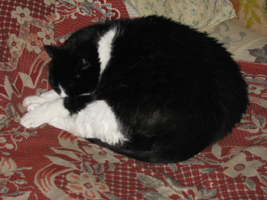 Когда на улице -25 - Людмила Смородинская Когда на улице -25 - Людмила Смородинская