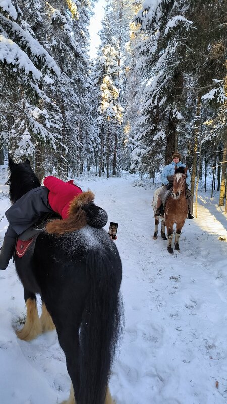 В поисках лучшего ракурса! - Ольга В поисках лучшего ракурса! - Ольга