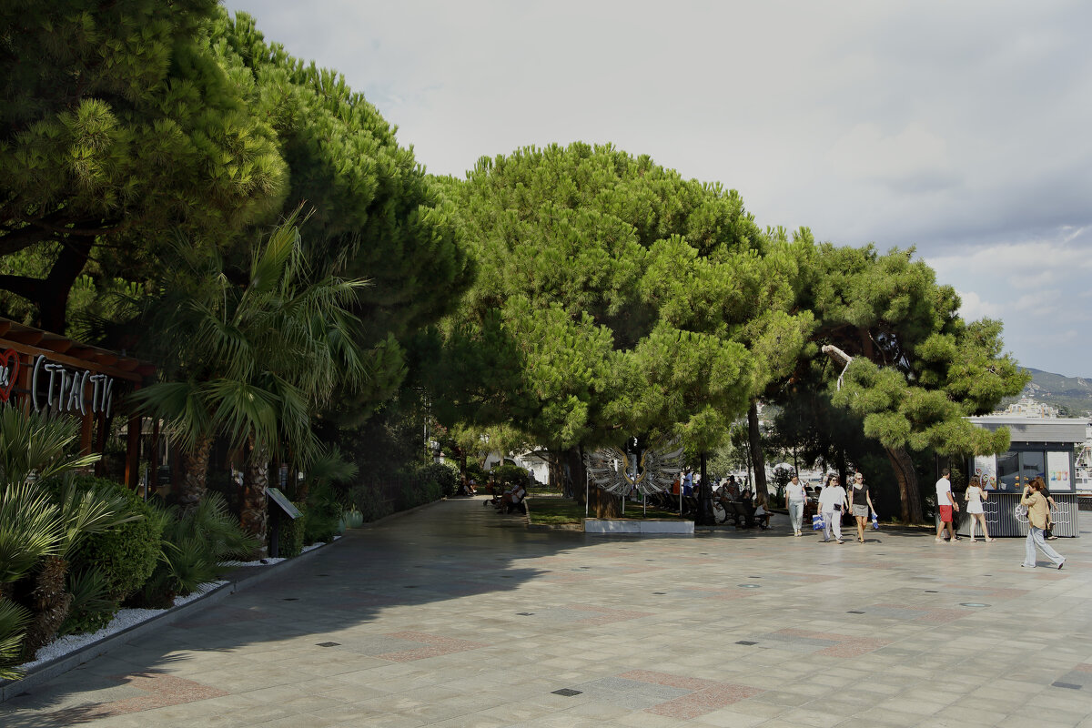 Прогулки по набережной, Ялта - Леонид Прогулки по набережной, Ялта - Леонид