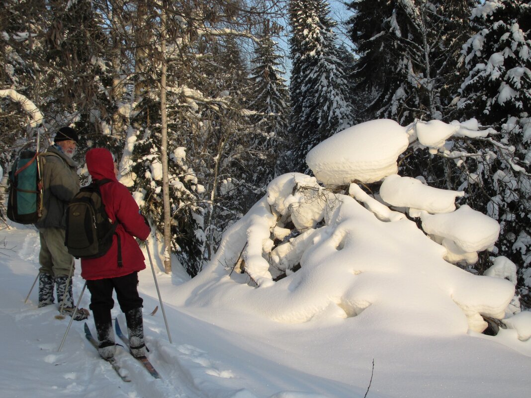 Таёжники - Galaelina ***