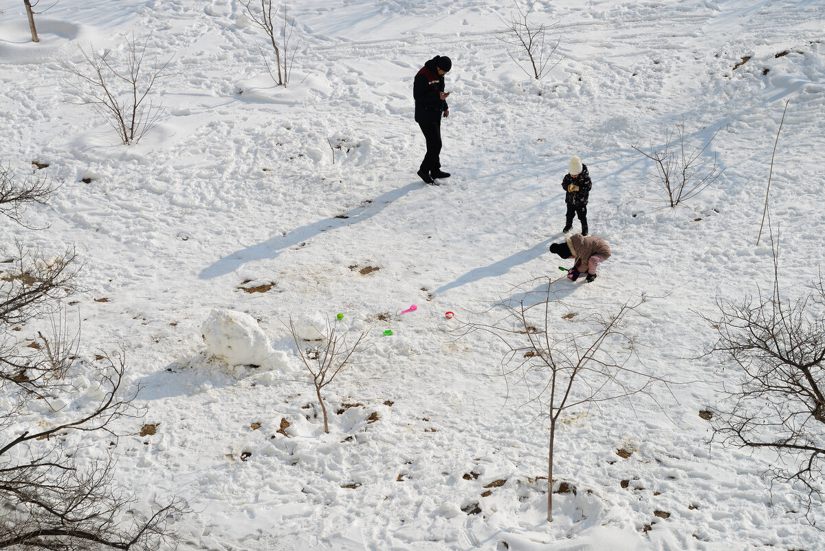 Белое и чёрное - Анатолий Чикчирный