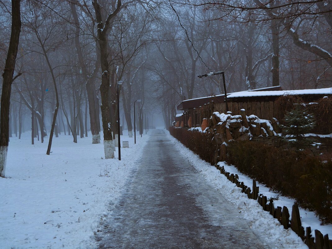Ростов-на-Дону. Аллея в туманном зимнем парке им. Н. Островского. - Пётр Чернега Ростов-на-Дону. Аллея в туманном зимнем парке им. Н. Островского. - Пётр Чернега