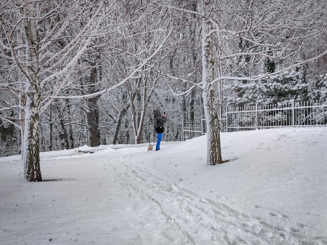 Зимняя картинка - Ravile 