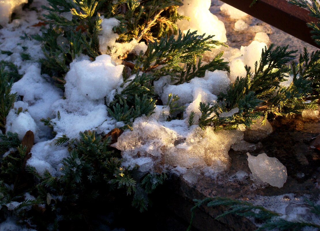 "Февраль...Достать чернил и плакать..." Б.Пастернак - Syntaxist (Светлана) "Февраль...Достать чернил и плакать..." Б.Пастернак - Syntaxist (Светлана)