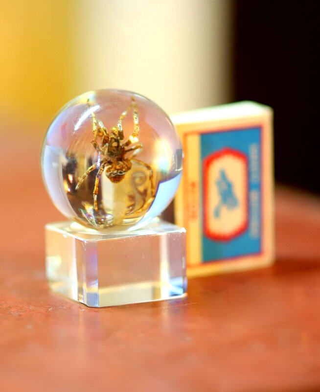 P - Андрей Л. В.