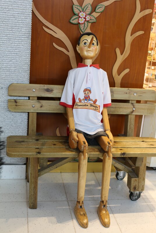 У магазина игрушек в Дубай-молле - Ольга У магазина игрушек в Дубай-молле - Ольга