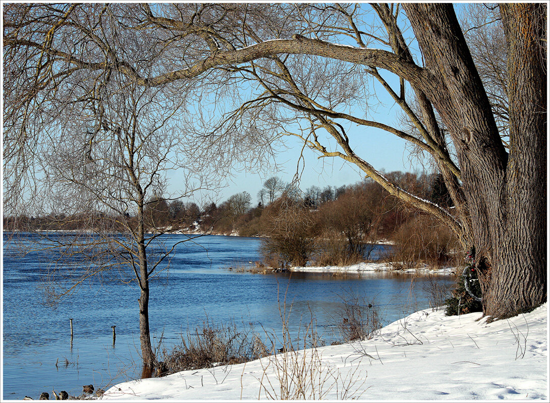 Пришел февраль... - Aleksandr Gal Пришел февраль... - Aleksandr Gal