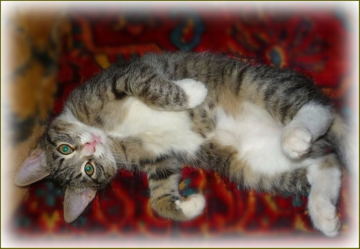 Маруся - Валентина Надсон