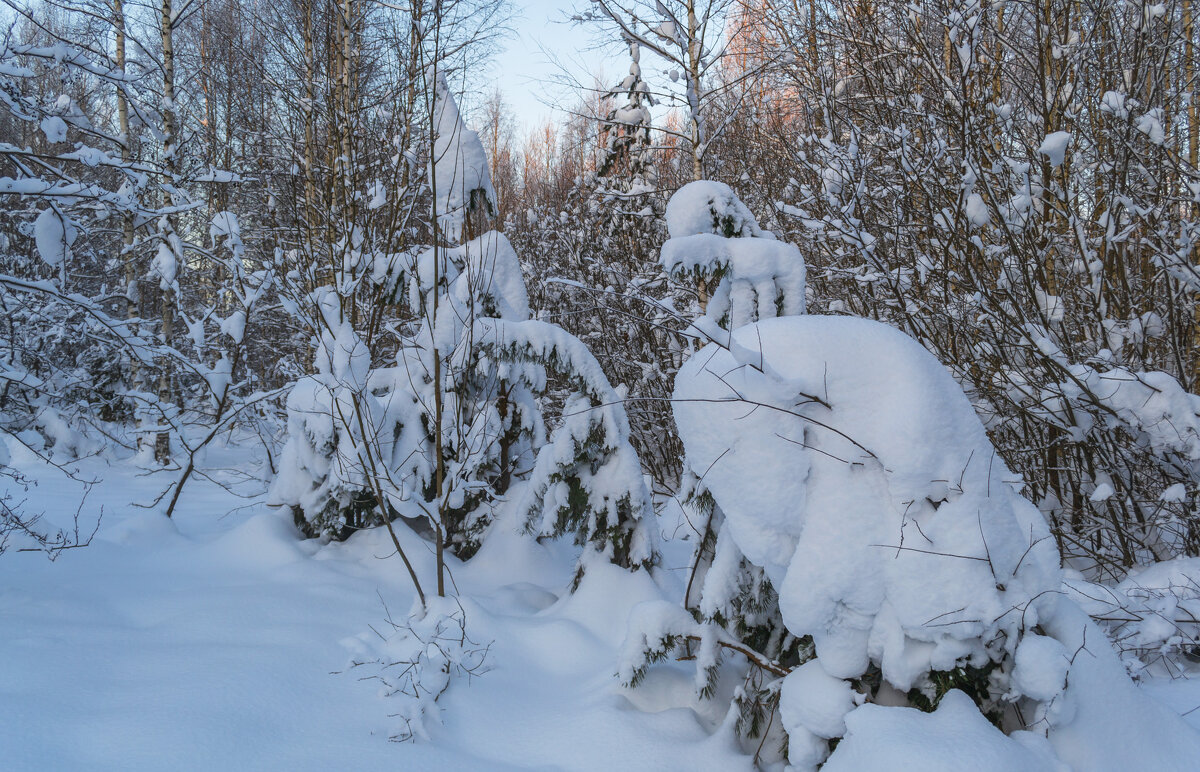 После снегопада - Сергей Цветков