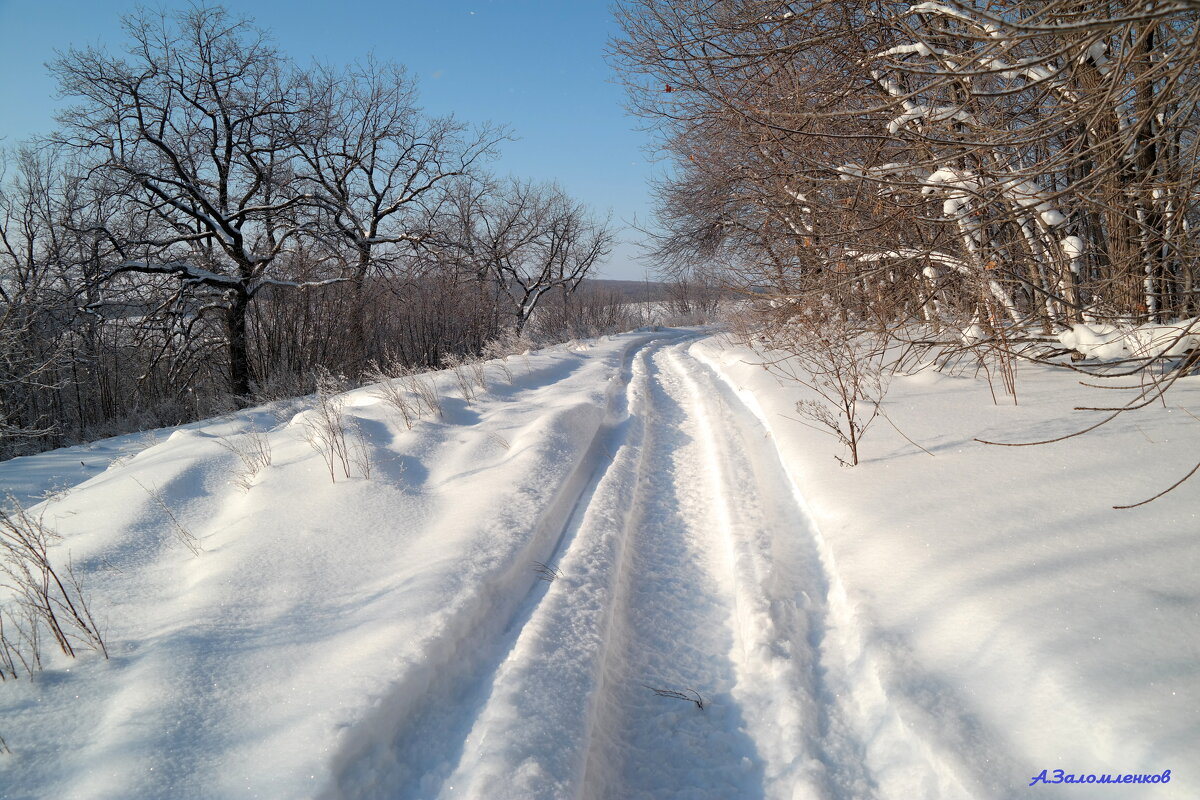 По февралю шагая.. - Андрей Заломленков