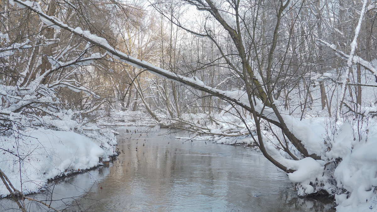 У Зимней Речушки - юрий поляков