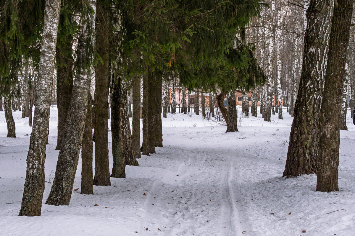 Ничто так не бодрит, как прогулка с фотоаппаратом на лыжах - Игорь Сикорский