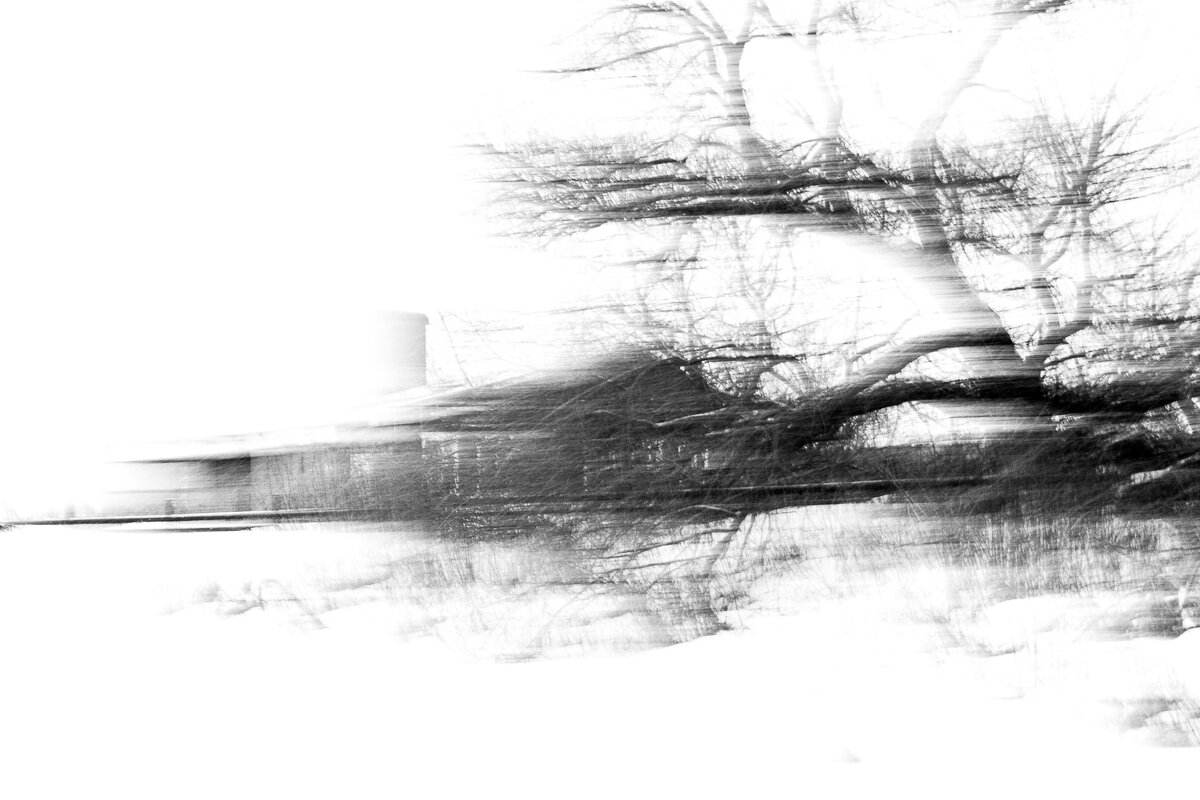 * - Сергей Полянский