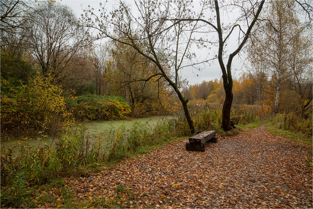 Одинокая скамейка - Ирина С