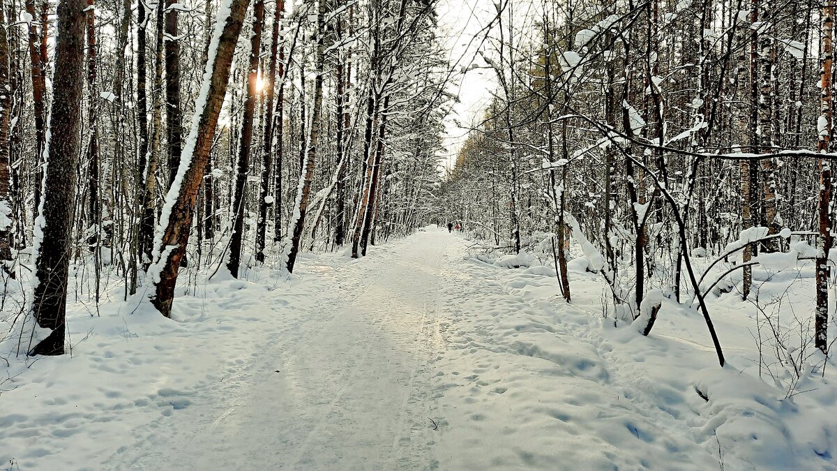 Зимний релакс. - веселов михаил 