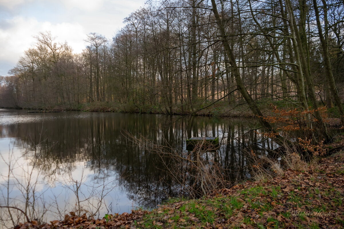 В лесопарке... - Николай Гирш В лесопарке... - Николай Гирш
