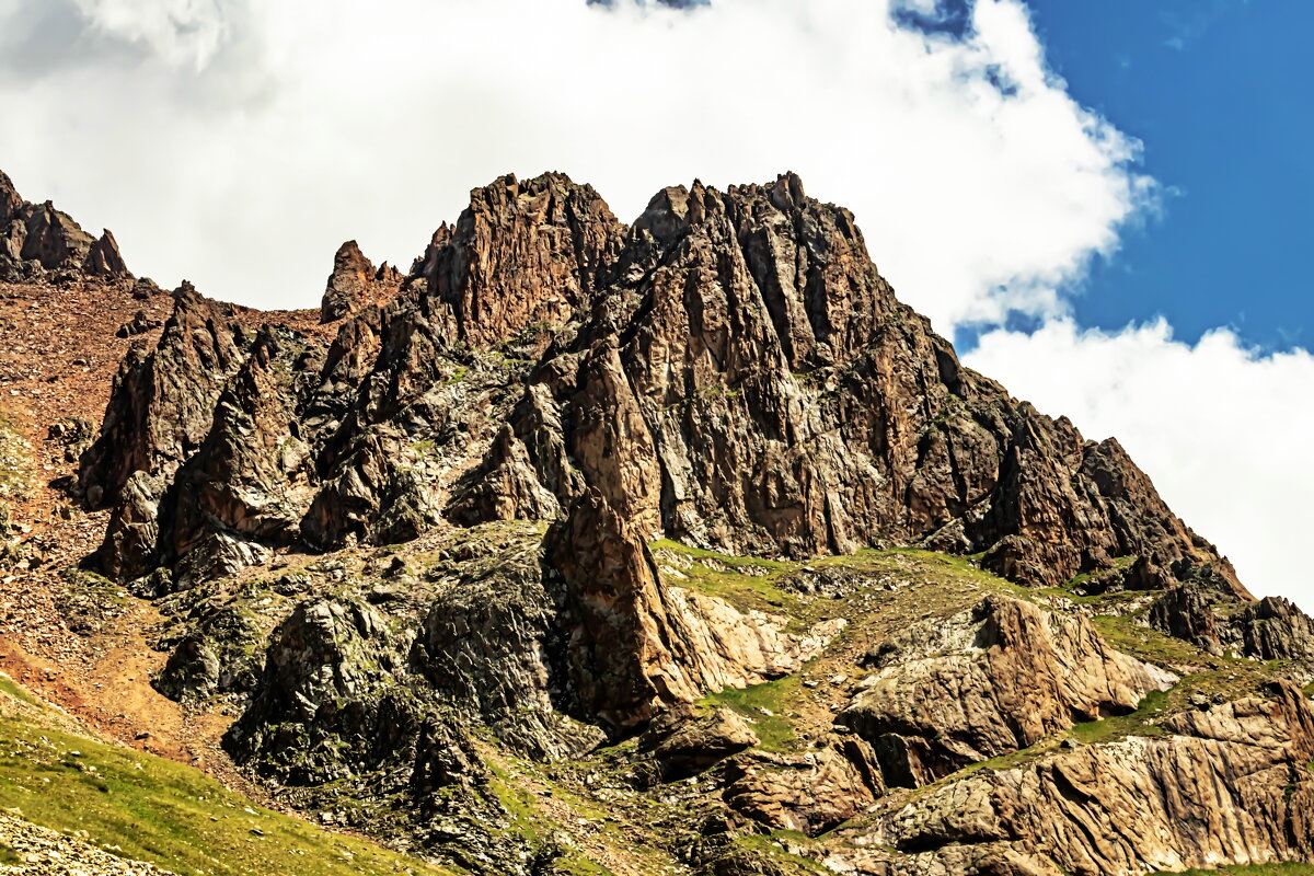 УЩЕЛЬЕ И ВИДЫ - HART BAD