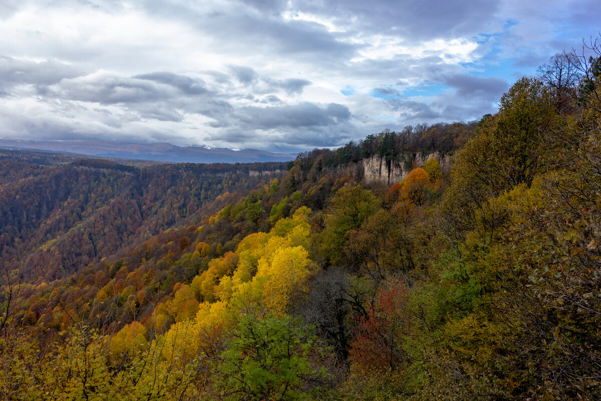 Адыгея.Осень. - ирина )))