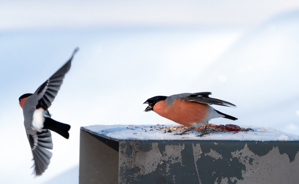 Прогнал... - Владимир Безбородов