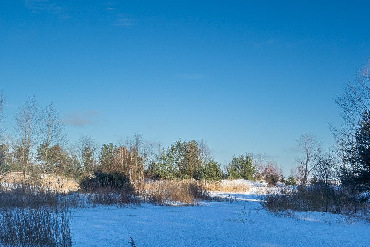 *** - Геннадий Порохов