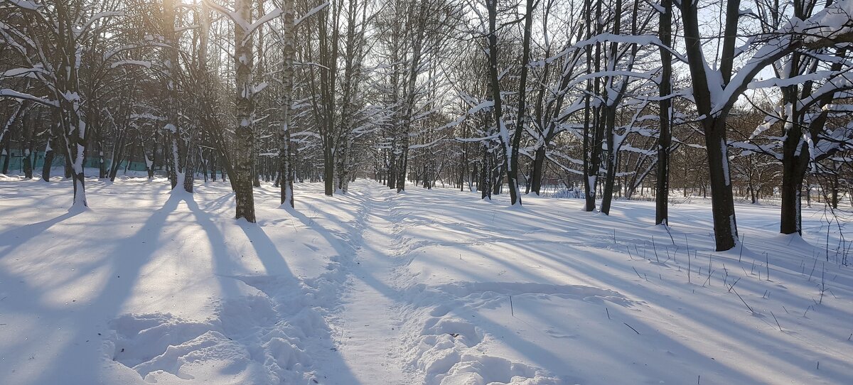 Тишина февраля - Galina Solovova
