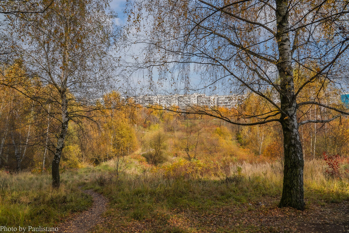 Московская осень... - Владимир Жданов