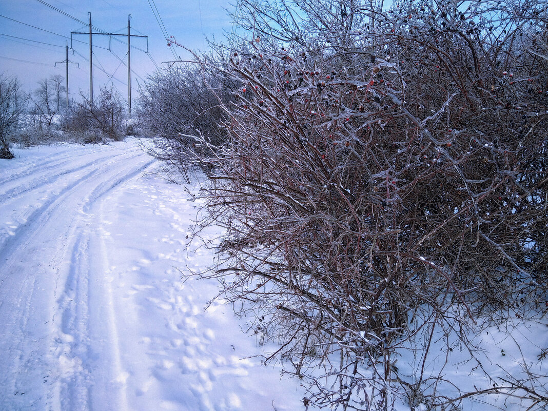 Untitled. - Андрей. 