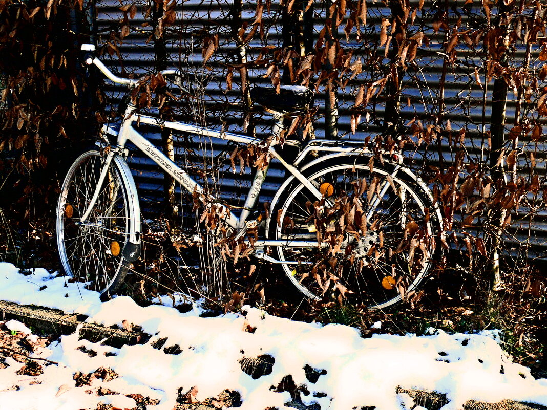 Южная зима - 23 - Алексей Кузнецов