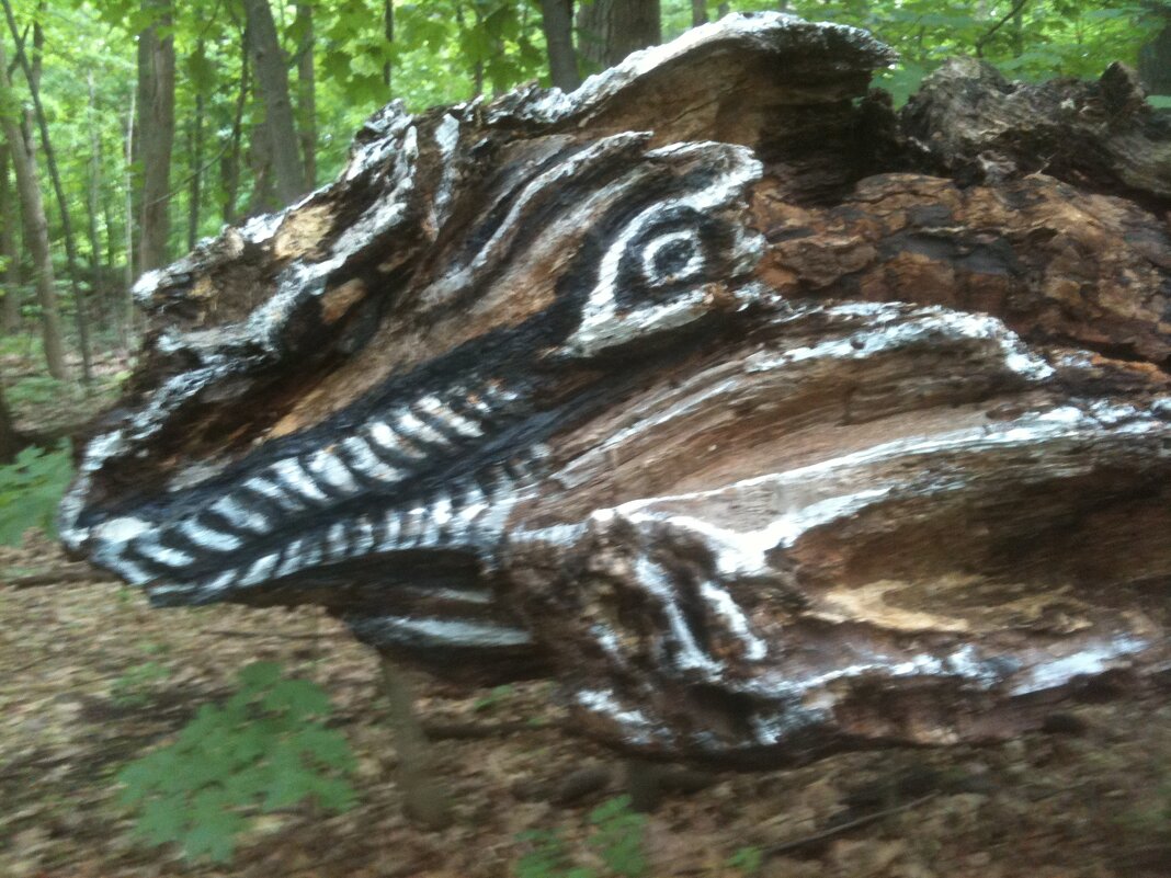 Мой крокодил (лесная скульптура) - Валерий Кокорев