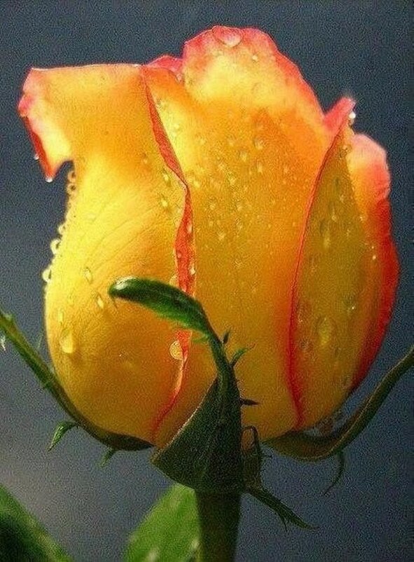 Макро... - Валерий Кокорев