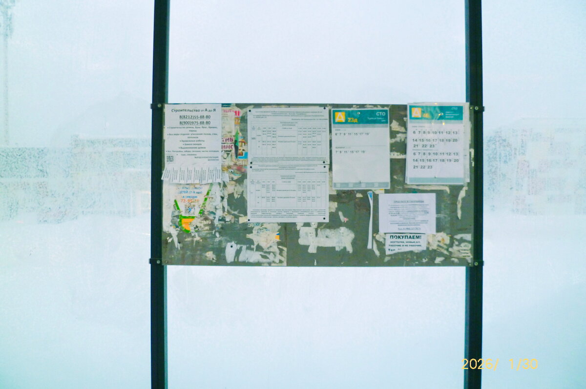 Фотография - Денис Безногов