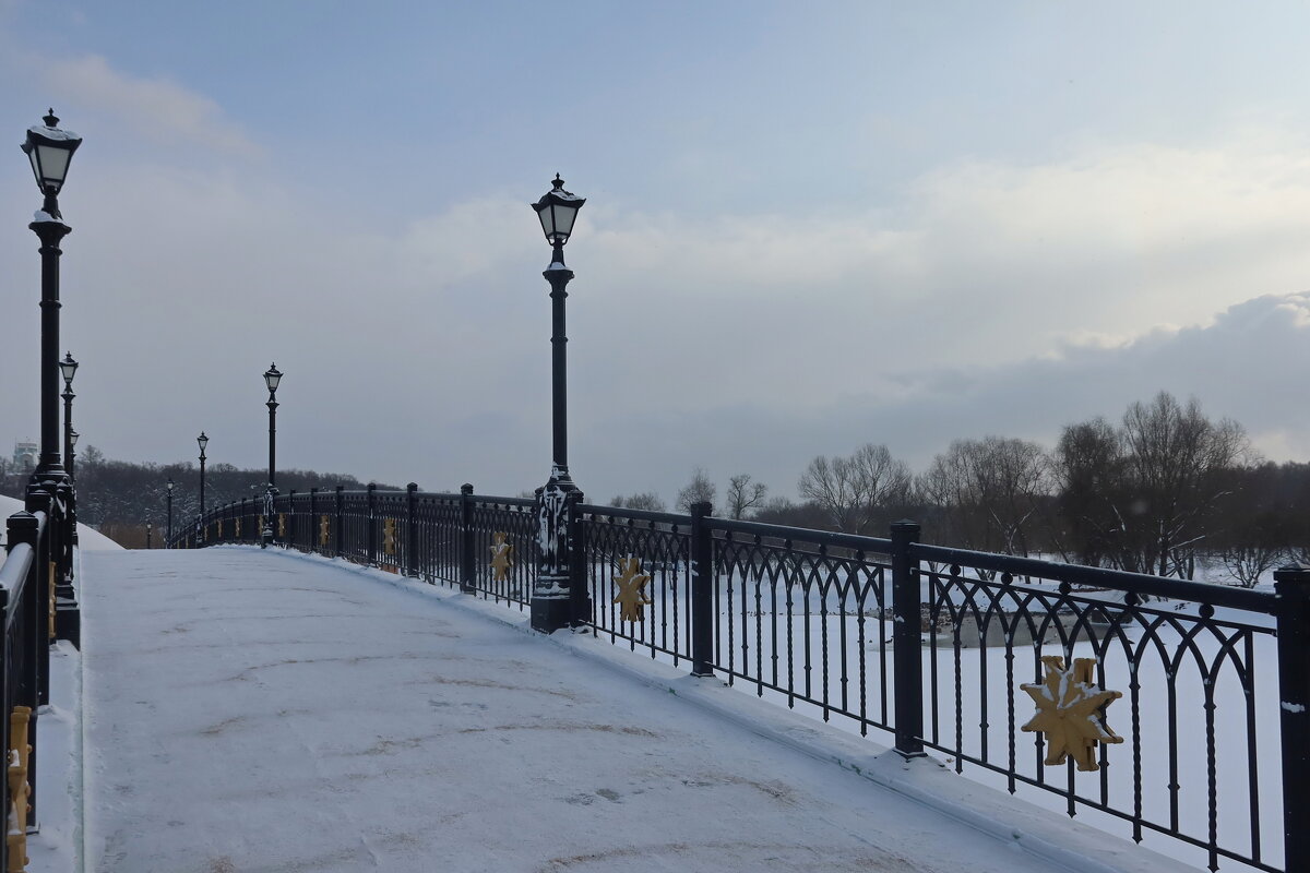 Западный арочный мост - Дмитрий И_