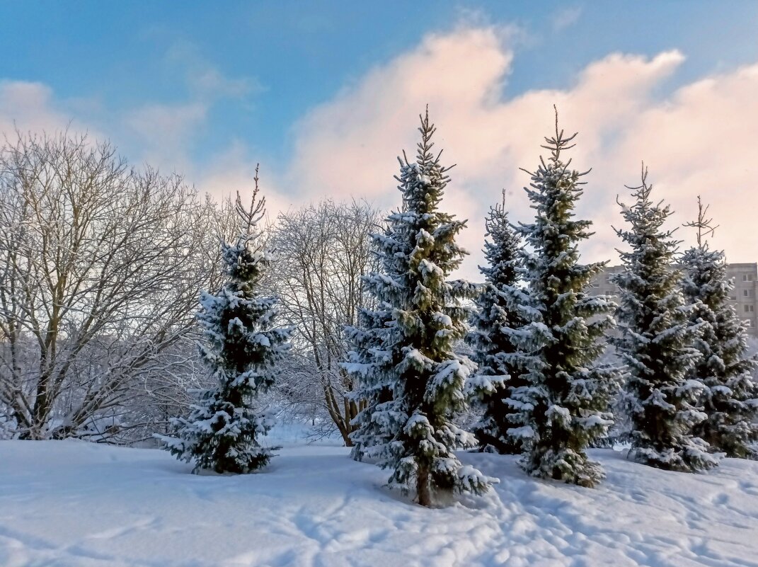 В парке Тондилоо - Veera V