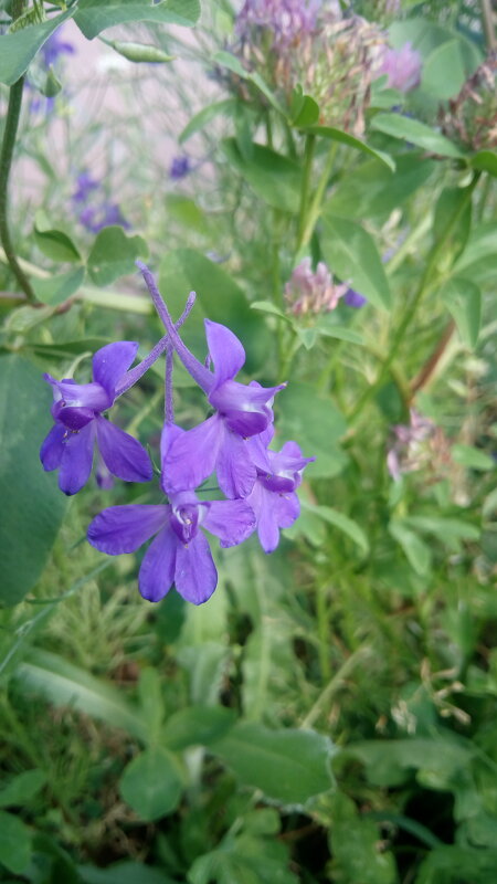 ,,, - Сергей Тимоновский